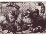  | Gustave Dore
1832 StraBburg - 1883 Paris

Zahmung der Raubtiere. 1856 (172) 
Holzstich; 24,6 x 37,2cm
